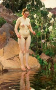 Anders Zorn - Skärgårdsblomster