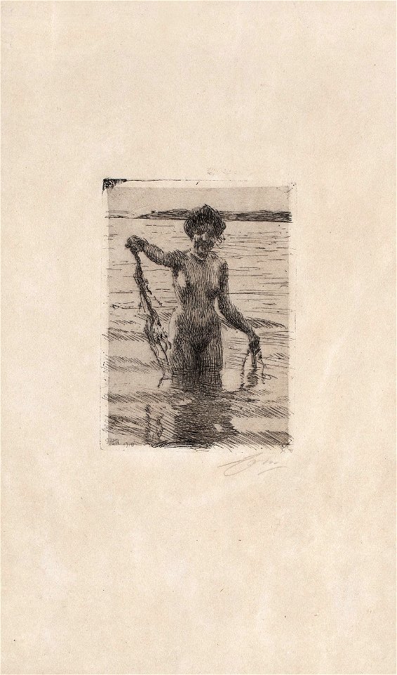 Anders Zorn - Seaweed (etching) 1910