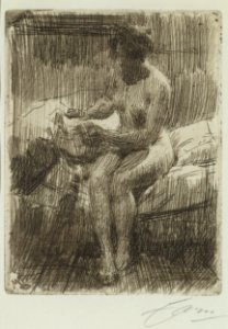 Anders Zorn Model Reading a Letter Thielska 539