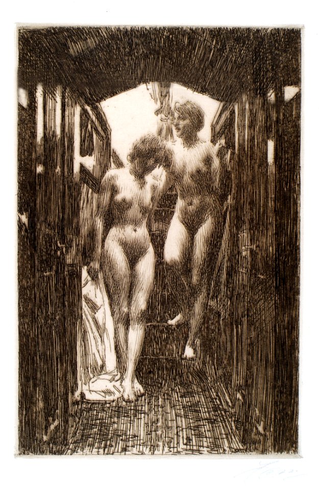 Anders Zorn Cabin Thielska 586
