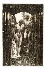 Anders Zorn Cabin Thielska 586