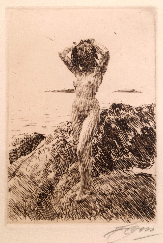 Anders Zorn Hair Tong Thielska 574