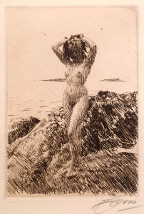 Anders Zorn Hair Tong Thielska 574