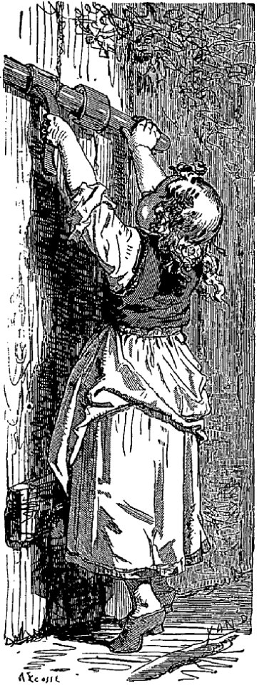 Andersen - Contes danois, trad. Grégoire et Moland, 1873, ill. p298