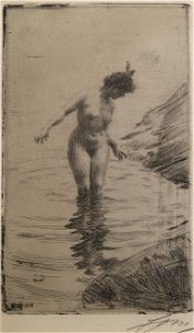 Anders Zorn Rings on the Water Thielska 525