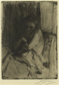 Anders Zorn Surprised Thielska 465