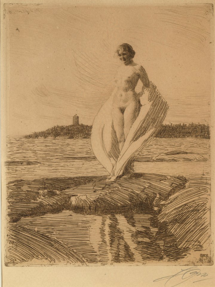 Anders Zorn The Swan Thielska 576