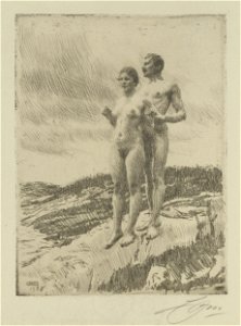 Anders Zorn The Couple Thielska 581