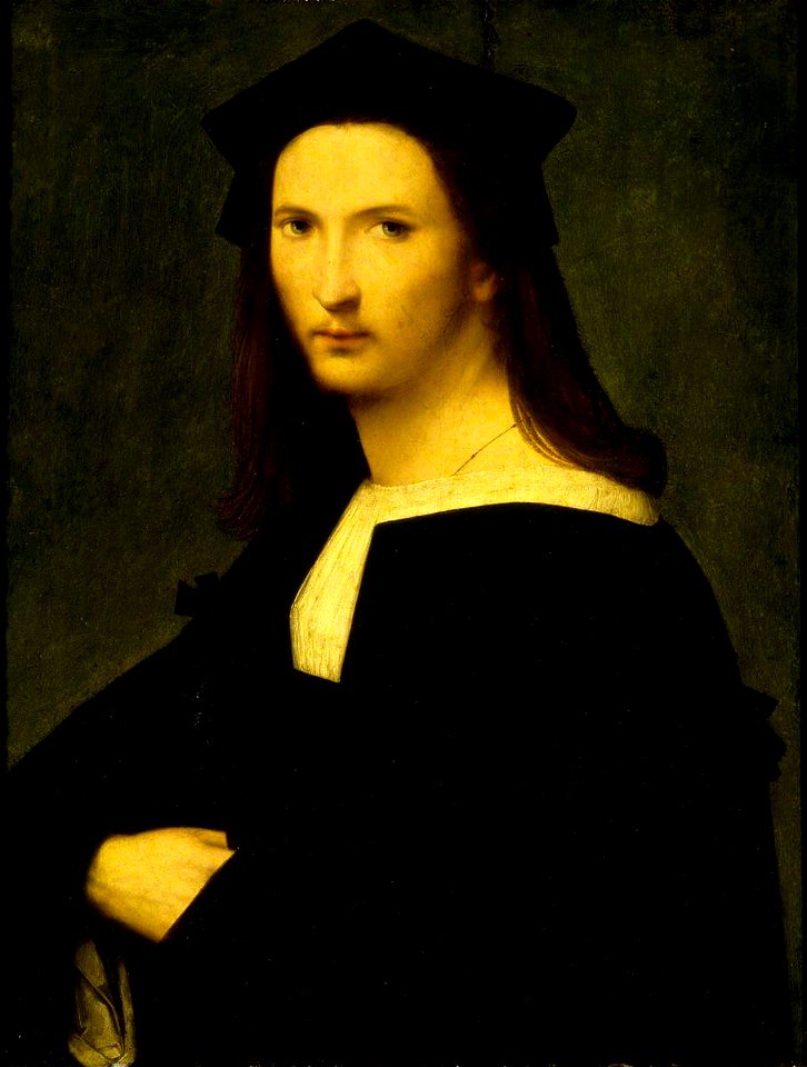 Andrea del Brescianino (active 1506-1525) - Portrait of an Unknown Man with His Arm in a Sling - 609008 - National Trust