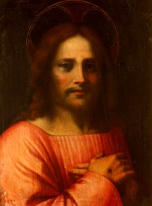 Andrea del Sarto (1486-1530) (after) - Christ the Redeemer - 996480 - National Trust