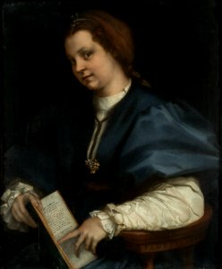 Andrea del Sarto - Dama col - Google Art Project