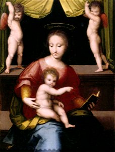 Andrea del Brescianino (active 1506-1525) - The Madonna and Child with Putti - 1181072 - National Trust