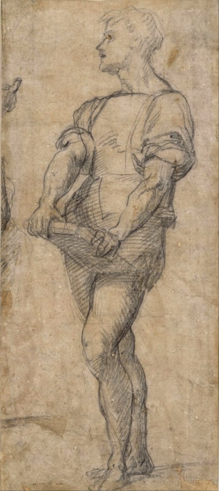 Andrea Del Sarto (actually Andrea d´Agnolo) - Standing youth holding a book - Google Art Project
