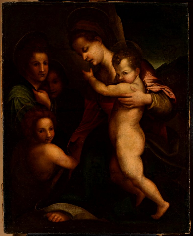 Andrea del Sarto - Madonna with Child Jesus and St. John - 231737 - National Museum in Warsaw