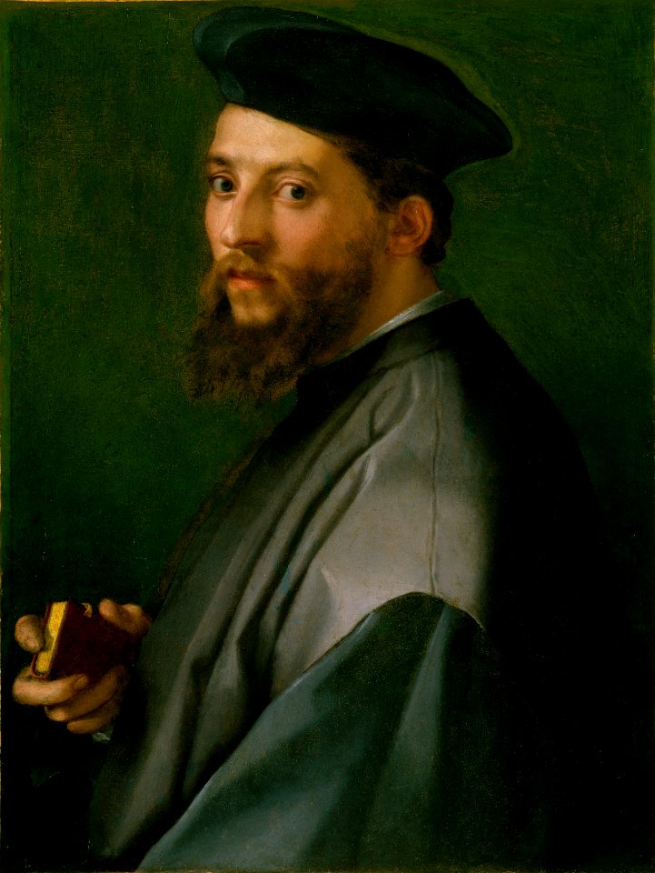Andrea del Sarto - Ritratto di un uomo (MET Museum of Art, NYC)