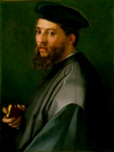 Andrea del Sarto - Ritratto di un uomo (MET Museum of Art, NYC)