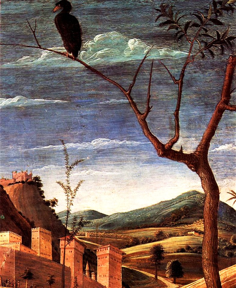 Andrea Mantegna 029 (38614755582)