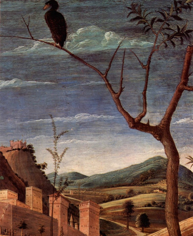 Andrea Mantegna 040
