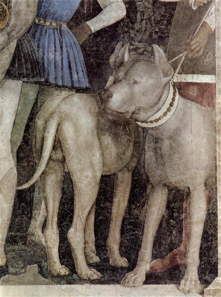 Andrea Mantegna 070