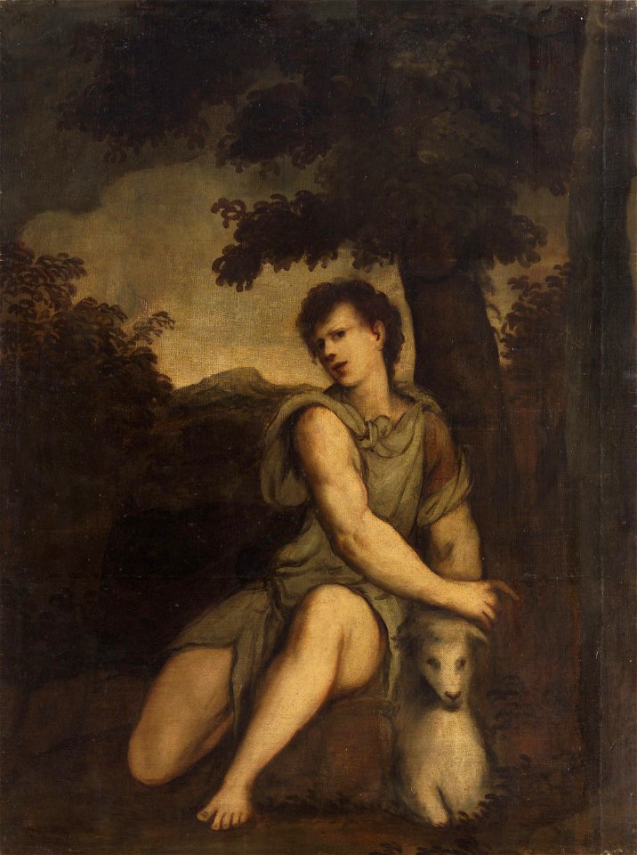 Andrea Meldolla, gen. Schiavone - Der junge Abel - GG 6681 - Kunsthistorisches Museum