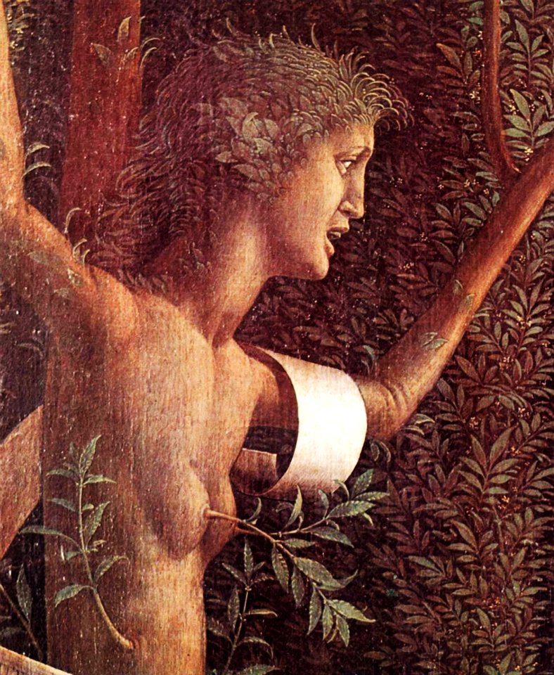 Andrea Mantegna 055 (38647193601)