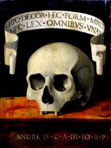 Andrea Previtali called Cordeliaghi - Portrait of a Man - Memento Mori - Google Art Project