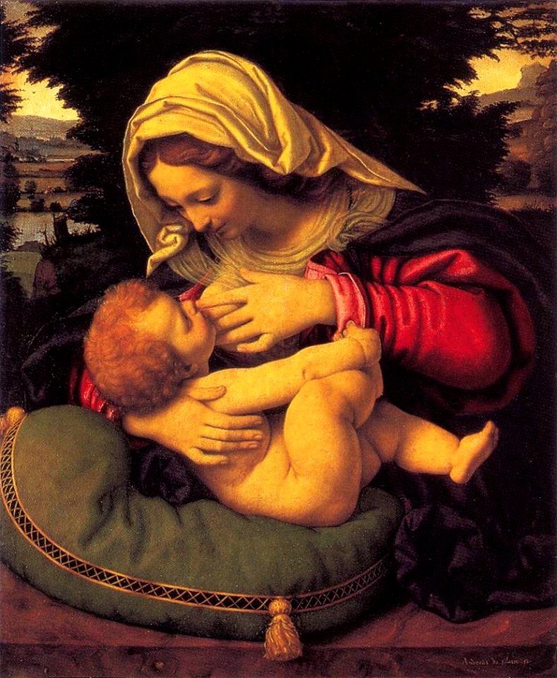 Andrea Solario - Madonna of the Green Cushion - WGA21602