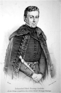 Andreas Forray Litho