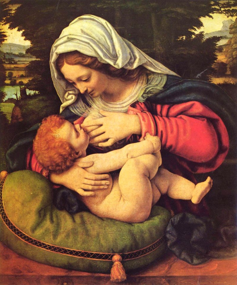 Andrea Solario 002