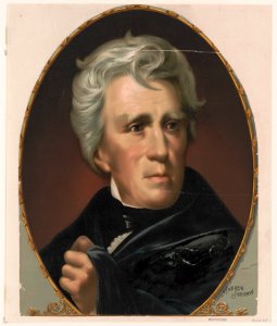 Andrew Jackson LCCN99404956