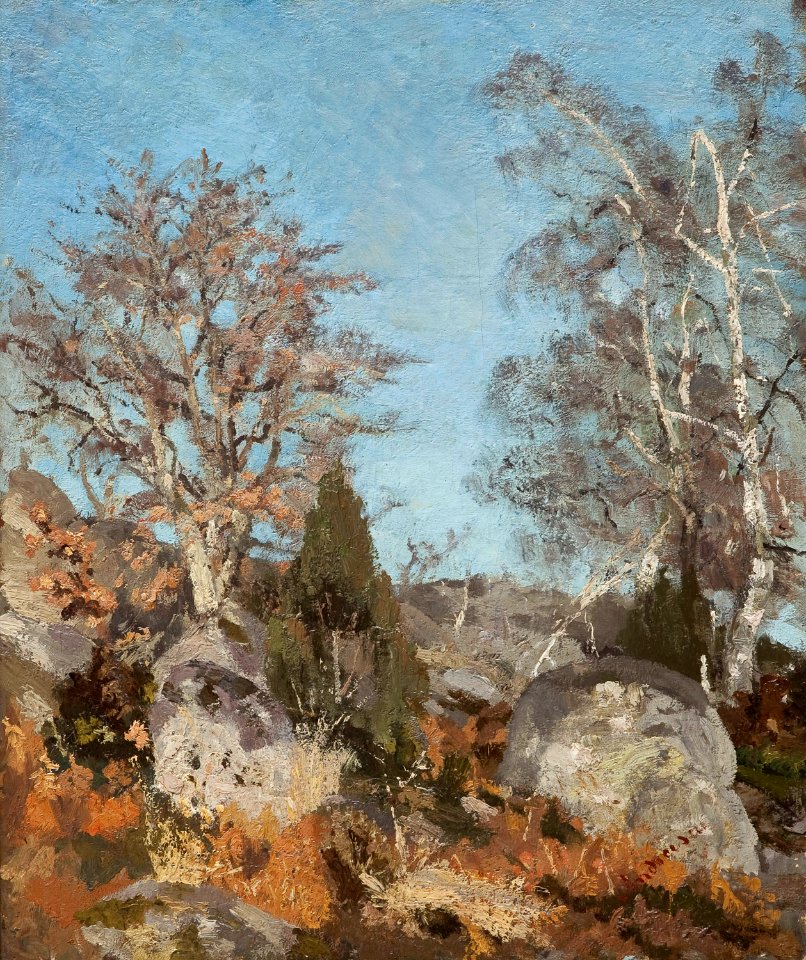 Ion Andreescu - Stânci şi mesteceni