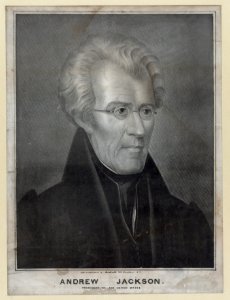 Andrew Jackson, President of the United States - Litho. and published by Endicott, 359 Broadway, N.Y. LCCN2003653039