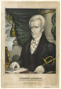 Andrew Jackson- Seventh President of the United States LCCN90708631