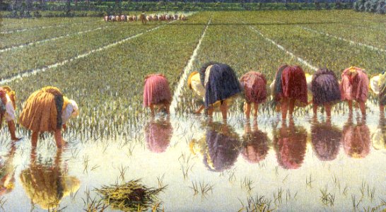 Angelo Morbelli - Per ottanta centesimi
