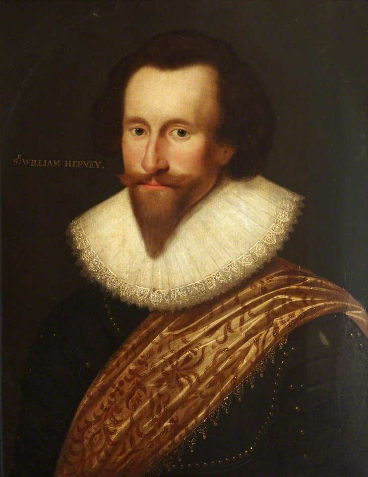 Anglo-Dutch School - Sir William Hervey (1585–1660), MP - 851795 - National Trust