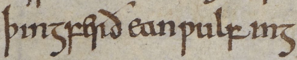 Anglo-Saxon Chronicle - Thincgferth Eanwulfing (British Library Cotton MS Tiberius A VI, folio 12v)