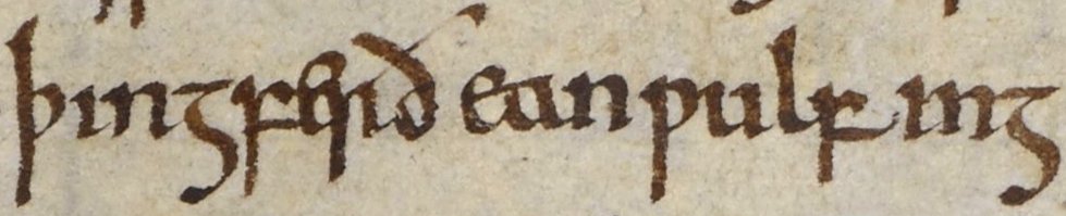 Anglo-Saxon Chronicle - Thincgferth Eanwulfing (British Library Cotton MS Tiberius A VI, folio 12v)