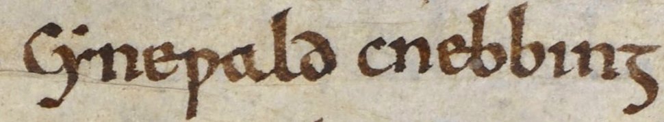 Anglo-Saxon Chronicle - Cynewald Cnebbing (British Library Cotton MS Tiberius A VI, folio 12v)