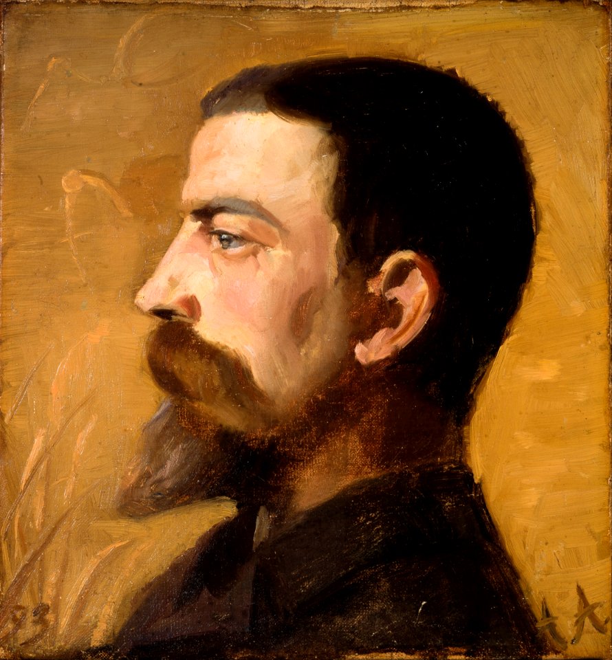 Anna Ancher - Valdemar Schønheyder Møller - Google Art Project