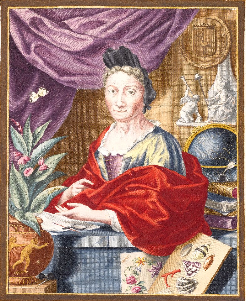 Anna Maria Sibylla Merian portrait in color