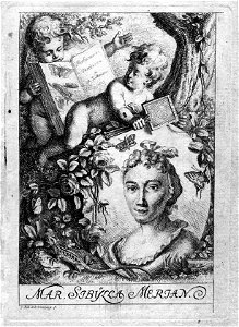 Anna Maria Sibylla Merian (par Schellenberg)