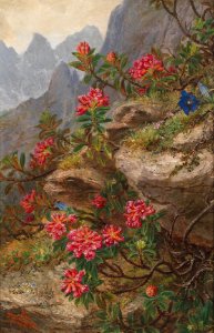 Anna Stainer-Knittel Alpenblumen
