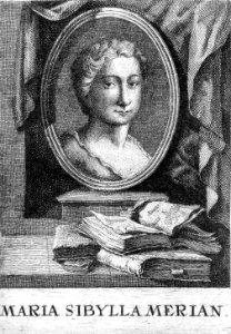 Anna Maria Sibylla Merian