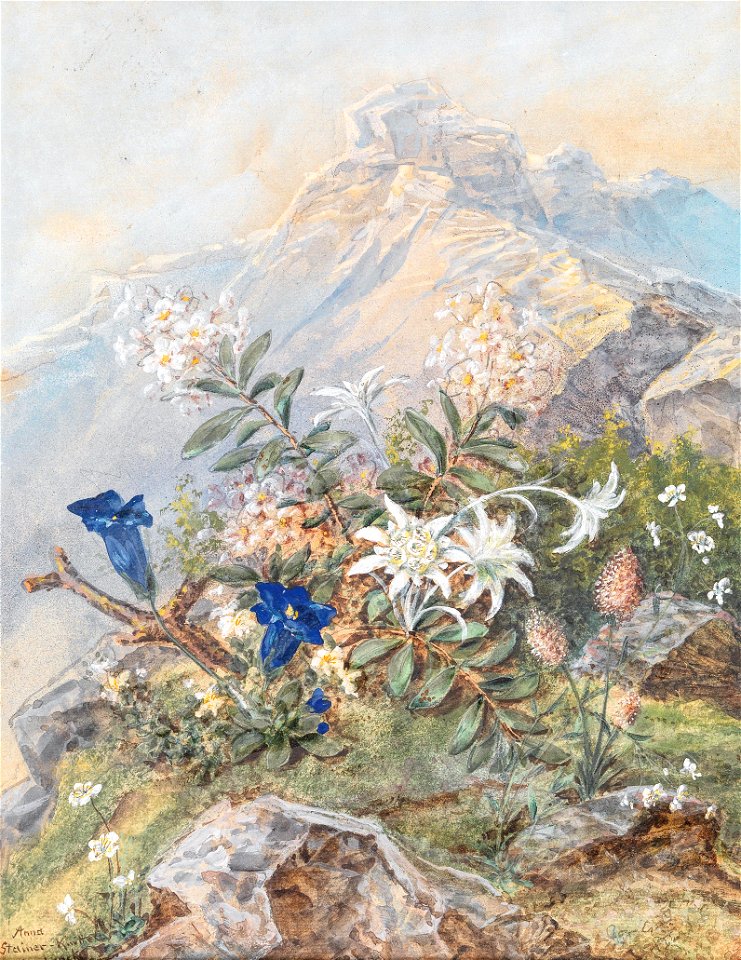 Anna Stainer-Knittel Enzian und Edelweiss