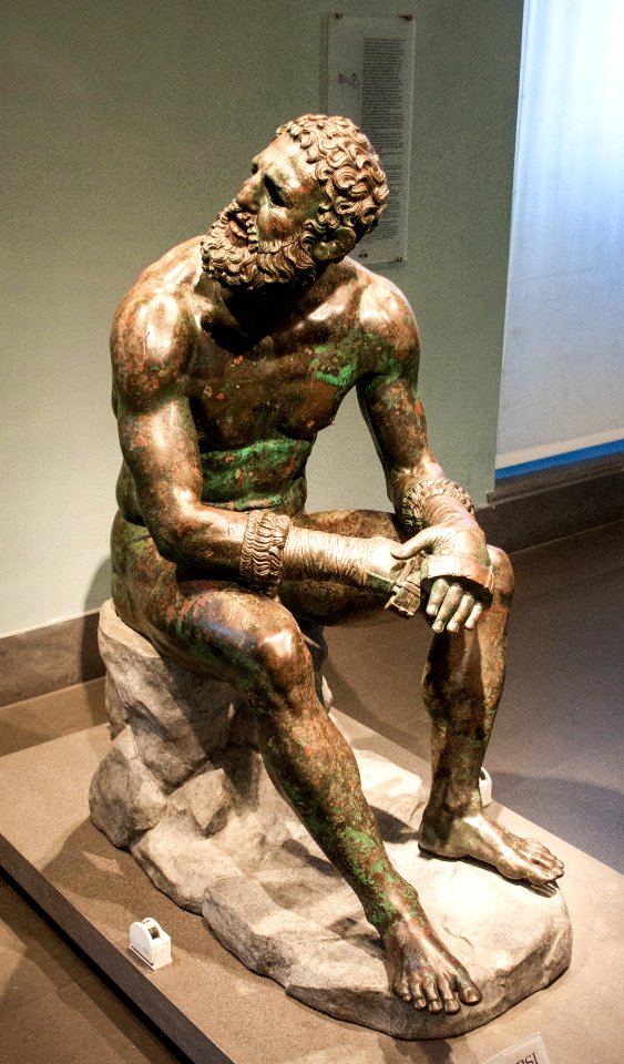 Boxer of Quirinal 2014-11-9