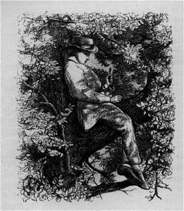 Boy in tree - Tom Brown's School Days (1869). Free illustration for personal and commercial use.