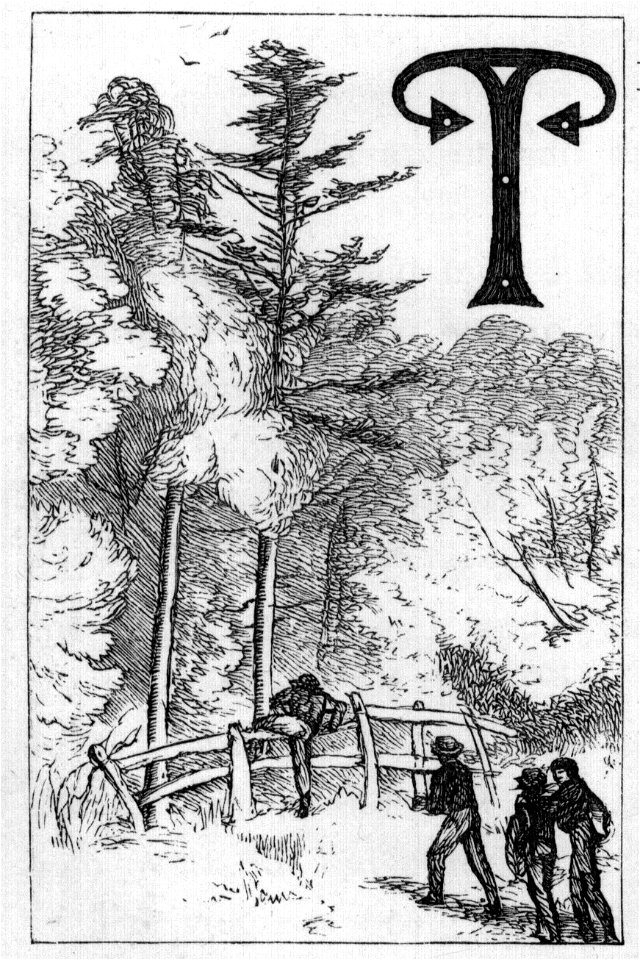 Boys crossing fence into the woods - Tom Brown's School Days (1869)