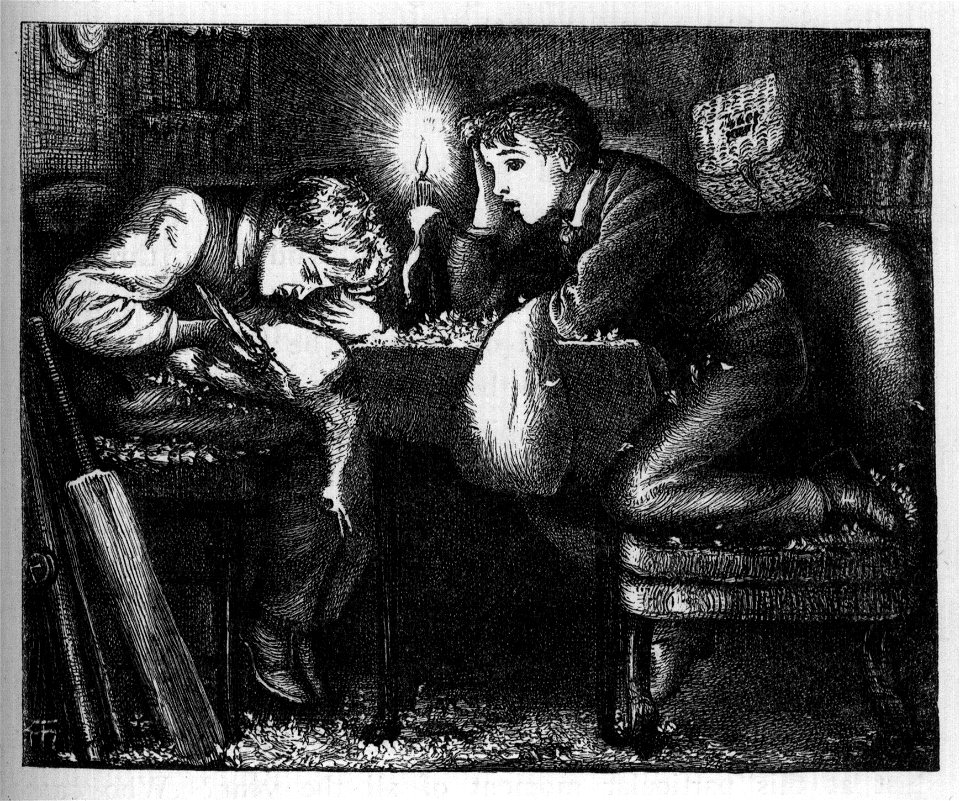 Boys plucking a bird - Tom Brown's School Days (1869)