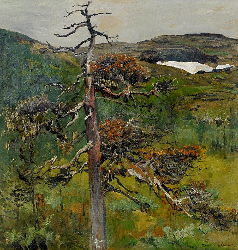 Eugen Bracht - Die alte Kiefer (1903)