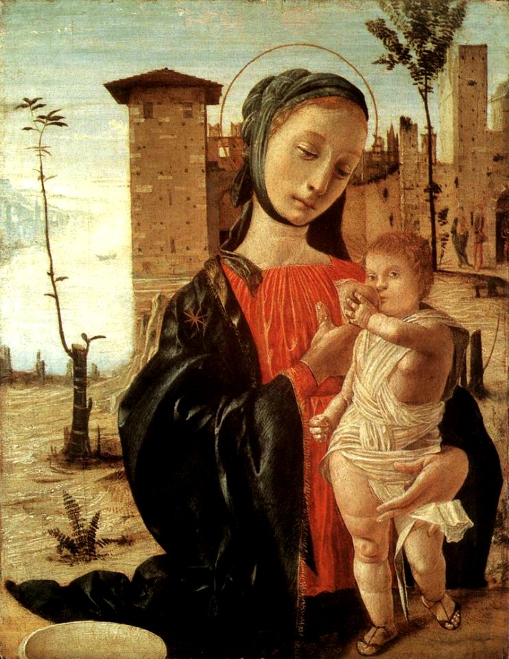 Bramantino - Madonna del Latte - WGA03074